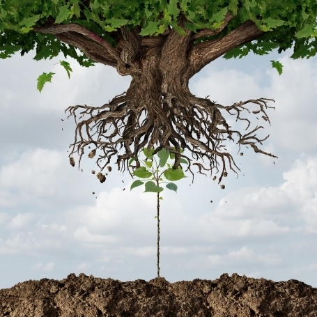 FREE SMSF INFORMATION EVENTS